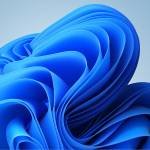 medmed Profile Picture