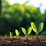 Aishwarya Nagur profile picture